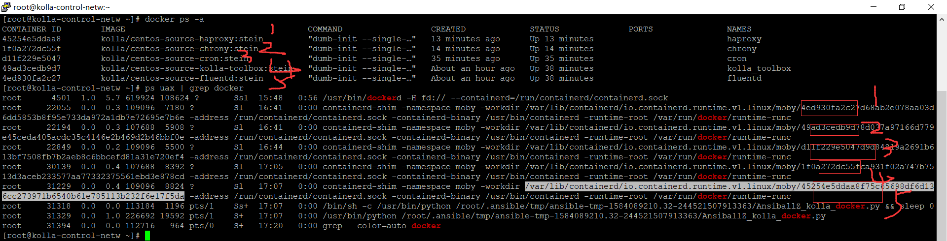 kolla-ansible -i multinode bootstrap preckeck deploy_linux_37