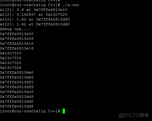 vector array and normal stanard array_数组越界_04