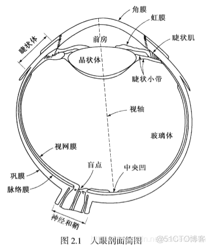 数字图像基础_连通性