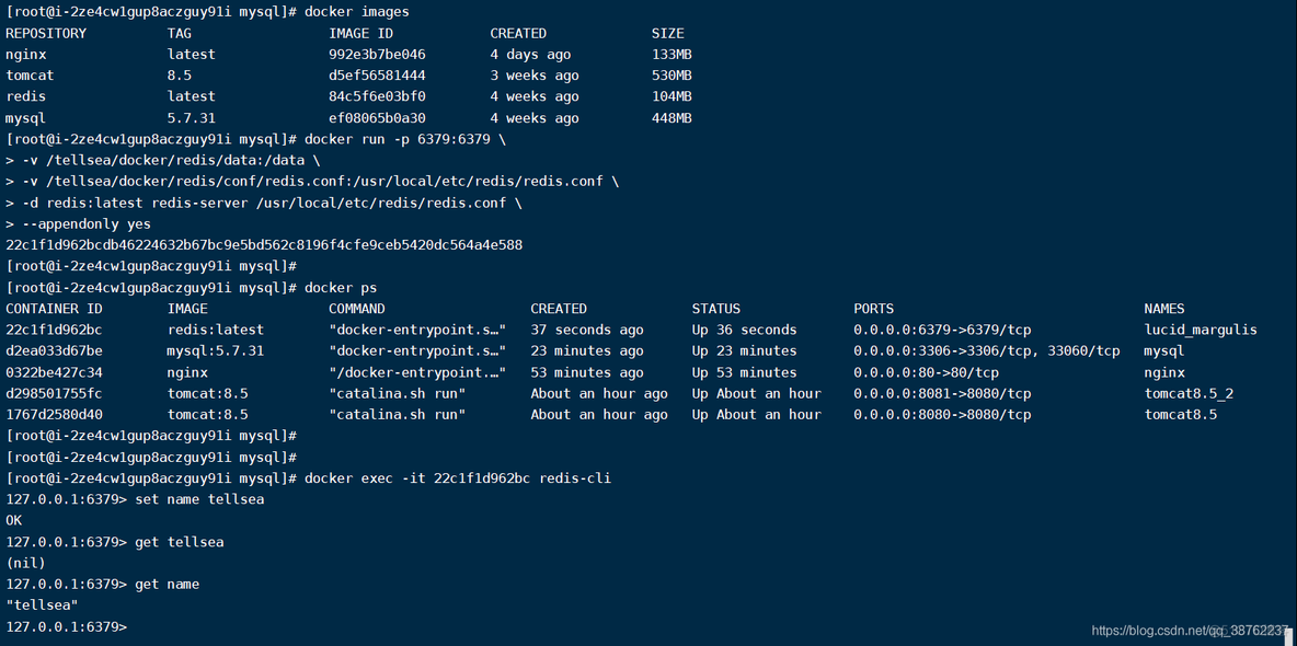 【Docker学习】6、使用 Docker 搭建 Redis 环境_docker_03