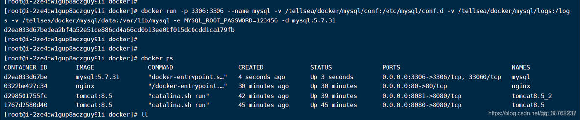 【Docker学习】5、使用 Docker 搭建 MySQL5.7、MySQL8.0 环境_docker_03