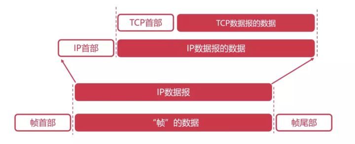 网络基础该从哪开始补？这36张图，一次性帮你搞定_数据_21