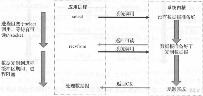 后台开发-核心技术与应用实践--网络模型与网络调试_文件描述符_03