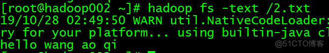 Hadoop(HDFS)常用命令_文件系统_11