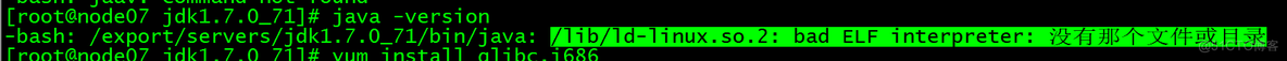 查看Linux的java版本报错:/lib/ld-linux.so.2: bad ELF interpreter: 没有那个文件或目录_解决方案