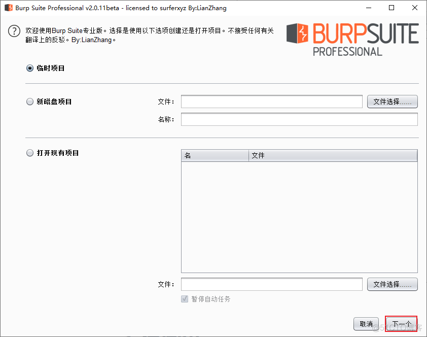 BURPSUITE专业汉化版安装_应用程序_19
