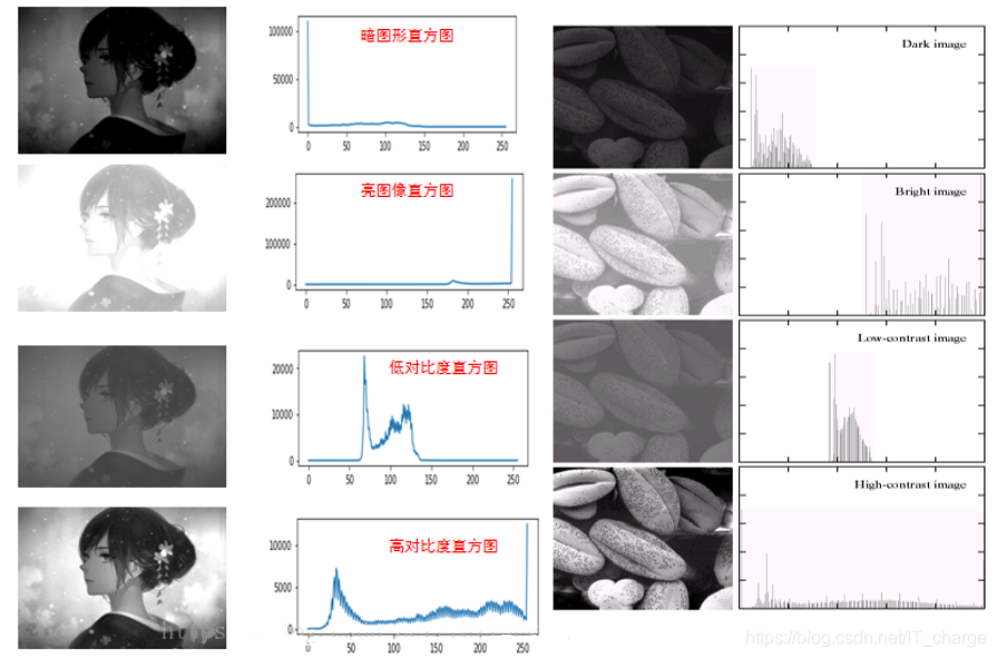 数字图像处理学习笔记（九）——直方图运算_直方图_14