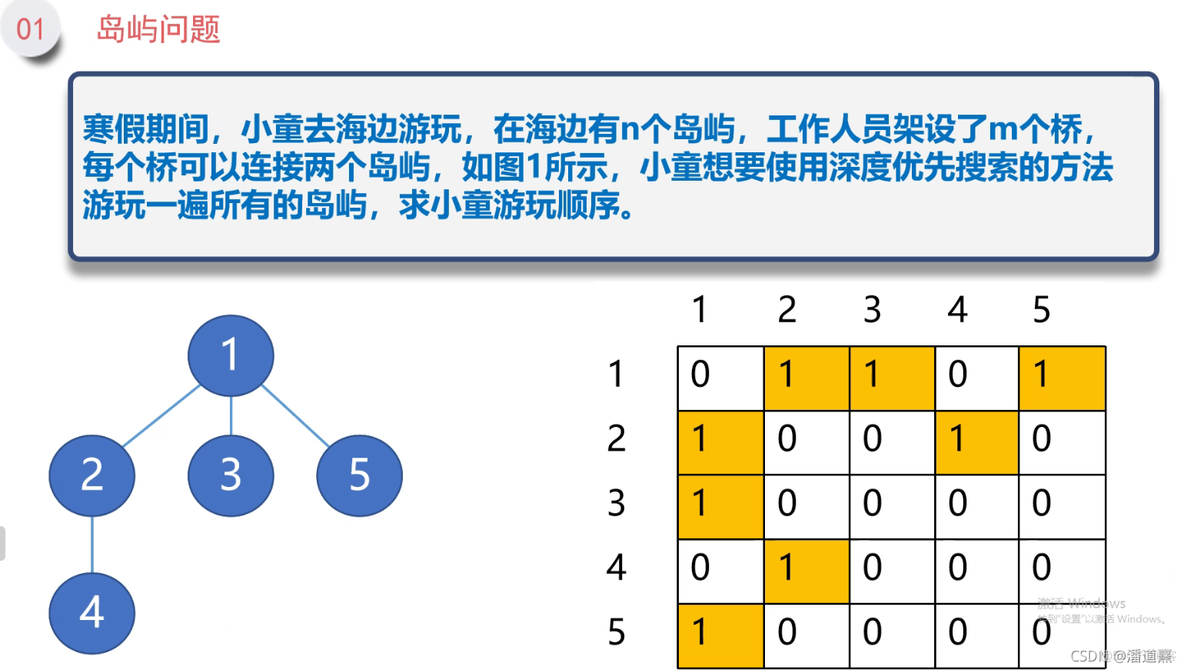 C++岛屿问题_c++