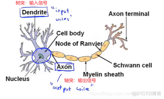 学习笔记 —— 吴恩达《机器学习》课程_神经网络_64