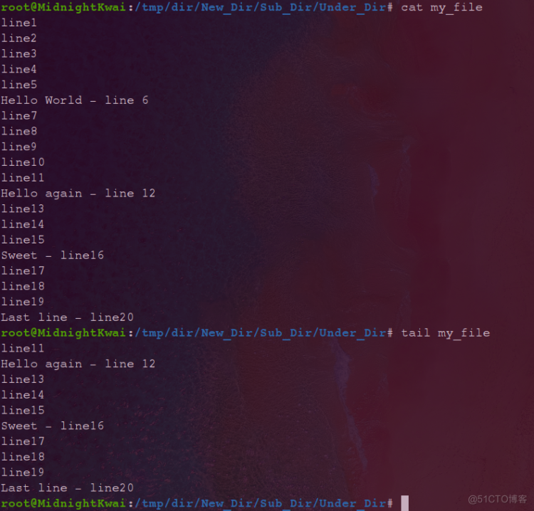 Linux 命令行与shell 脚本编程大全3 基本的bash Shell命令 Yyds干货盘点 51cto博客 Linux命令行与shell脚本