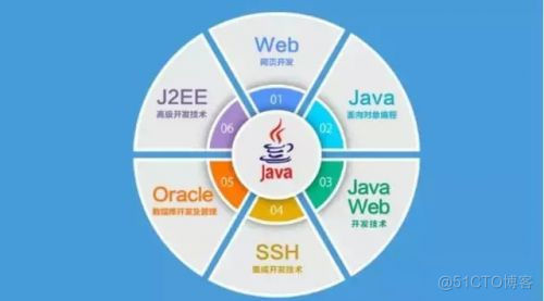 Java前景如何？新手还能学Java吗？_面向对象