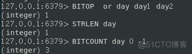 用Redis位图实现统计用户登录天数和活跃用户_基础原理_04