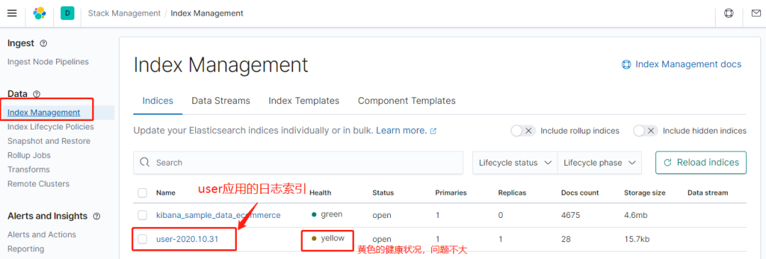 ELK 到底是个啥？看完就懂了！_elasticsearch_10