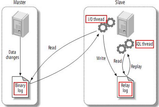 MySQL 主从同步(1) - 概念和原理介绍 以及 主从/主主模式 部署记录_服务器