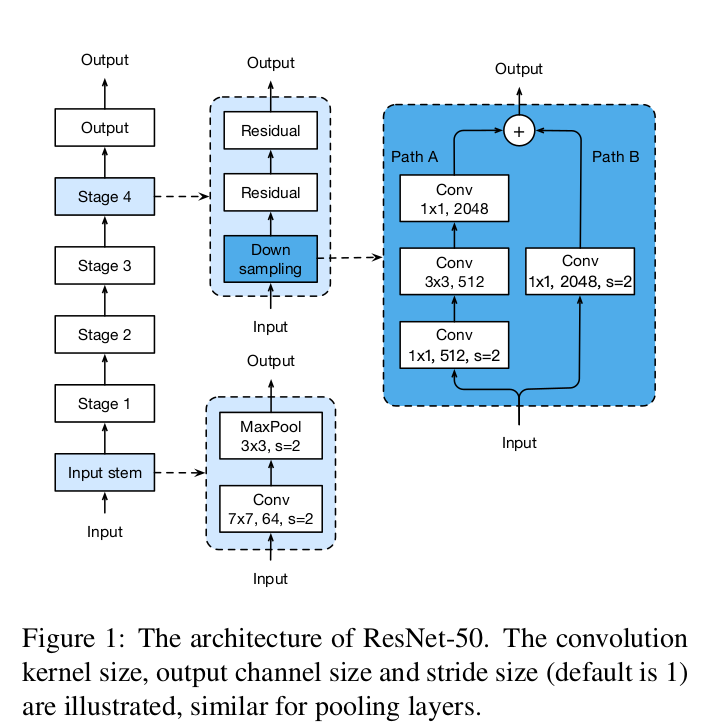 Bag of Tricks for Image Classification with Convolutional Neural Networks论文笔记_卷积_02