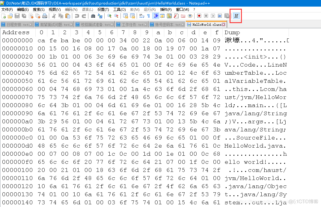 JVM_06 类加载与字节码技术(类文件结构)_class_04