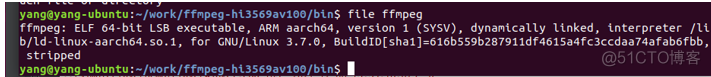 FFmpeg开发笔记（十）：ffmpeg在ubuntu上的交叉编译移植到海思HI35xx平台_海思ffmpeg开发_08