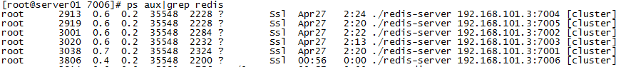 Redis，性能加速的催化剂(一)_sql_31