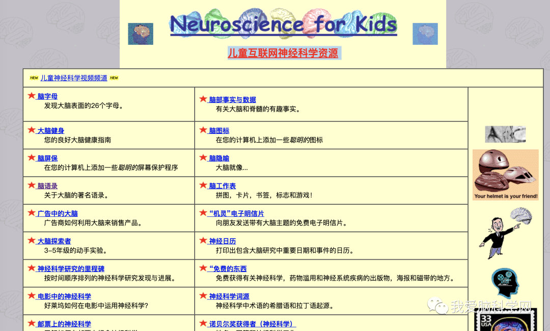 经典大脑解剖网站大全_html_06