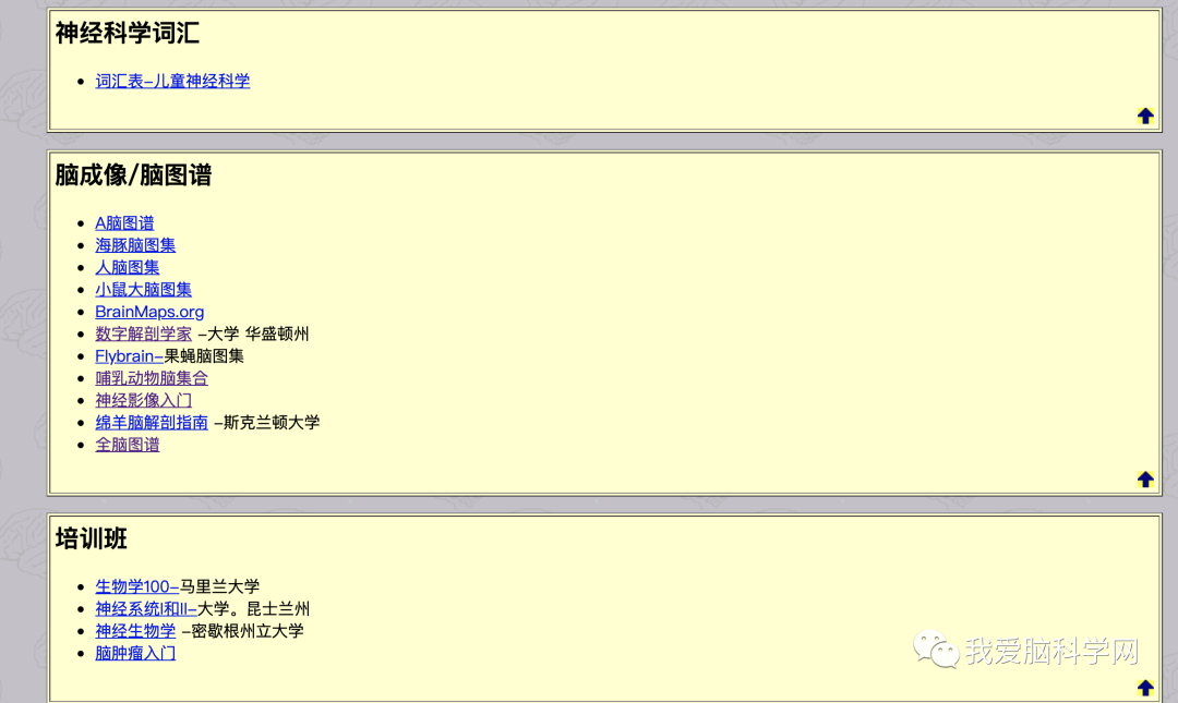 经典大脑解剖网站大全_ios_07