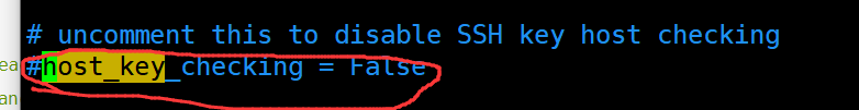 ansible：Using a SSH password instead of a key is not possible because Host Key checking_python