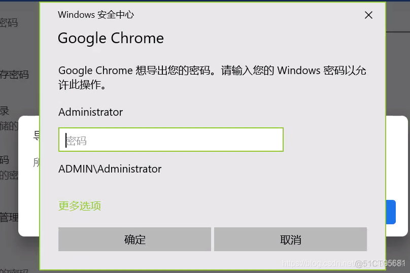 Chrome谷歌浏览器密码数据导出与导入管理（实现数据无缝同步）_配置项_05