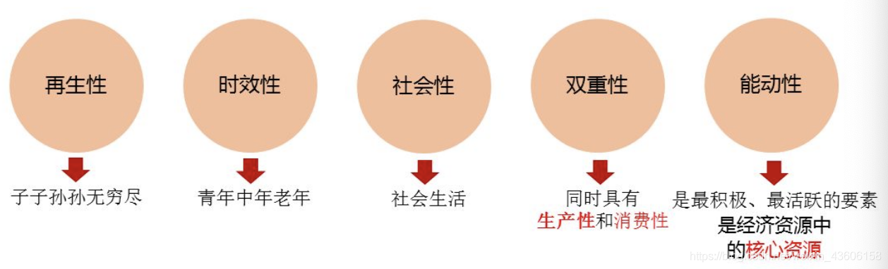 网络经济与企业管理【八】之人力资源管理_人力资源管理_02