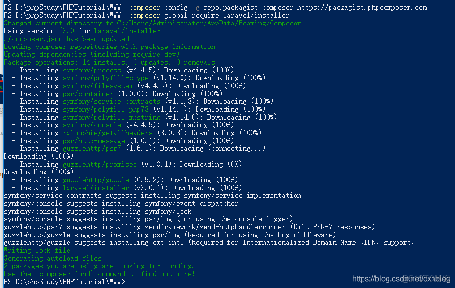 composer安装laravel6.*_composer_02