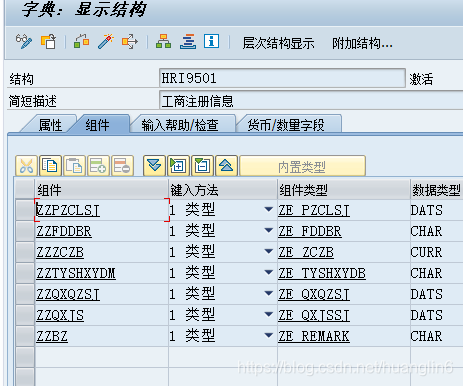 HR 人事和组织信息类型增强_字段_04