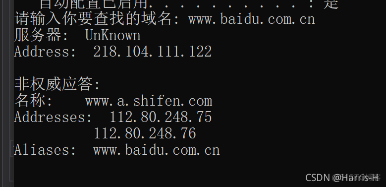 C++通过命令行实现dns域名解析_服务器