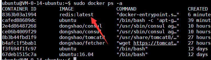 Docker API（Registry API、Docker Hub API、Docker Remote API）_json_22