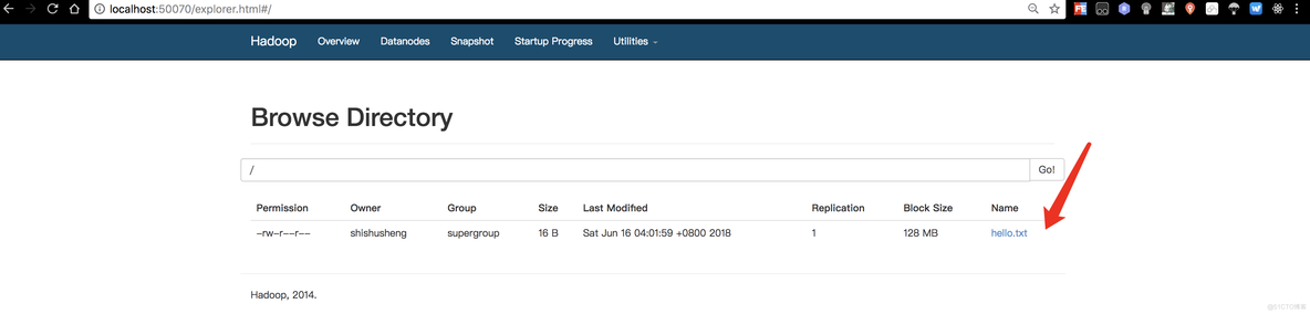 HDFS伪分布式环境搭建_hadoop_51