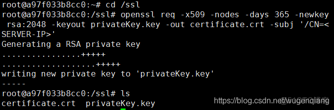 centos7环境下在docker中nginx部署HTTPS_docker