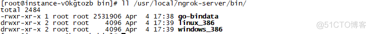 linux服务器搭建ngrok服务-实现内网穿透_客户端_03