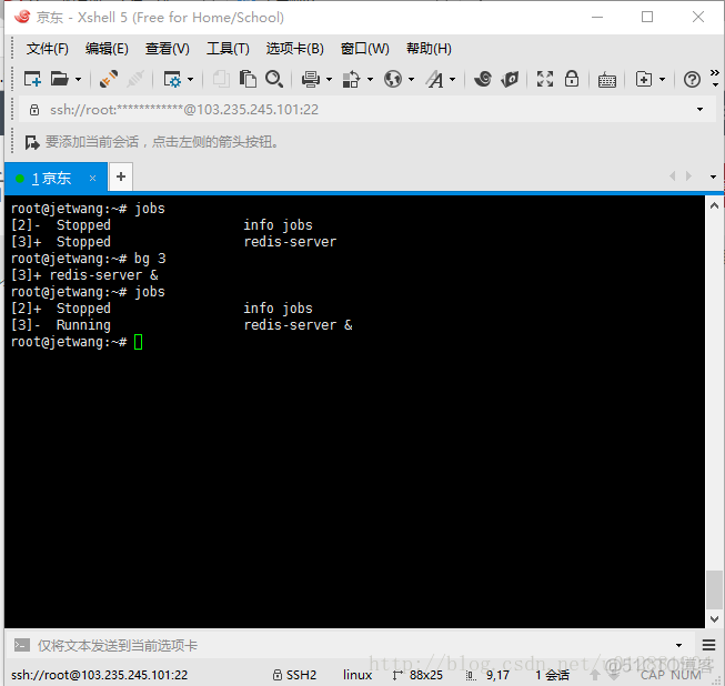 玩玩Linux云主机-linux后台运行和关闭、查看后台任务，关闭终端后继续执行_操作系统_07