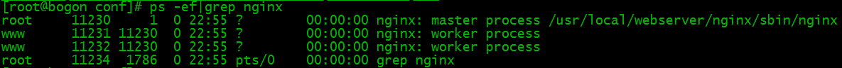 Linux 安装 Nginx 教程，菜鸟入门版_php_07