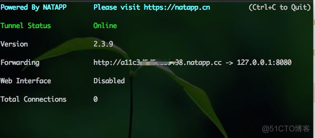 内网穿透（mac，window，linux通用）1分钟实现外网访问电脑本地服务器_外网穿透_09