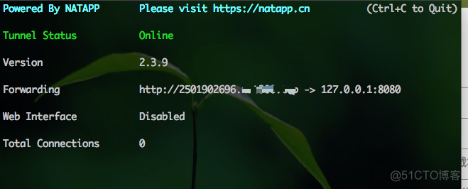 内网穿透（mac，window，linux通用）1分钟实现外网访问电脑本地服务器_外网_16