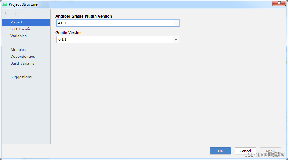 解决办法：Could not determine java version from ‘11.0.8‘._java