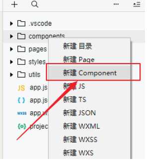 小程序：微信小程序开发_json_20