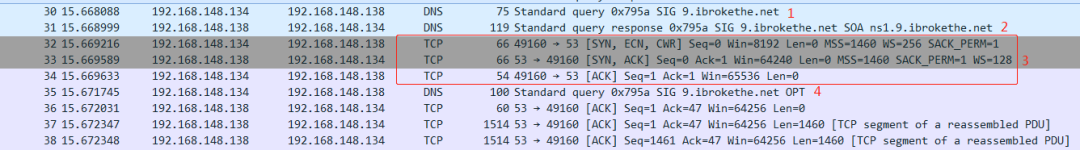 CVE-2020-1350: Windows DNS Server蠕虫级远程代码执行漏洞分析_数据_13