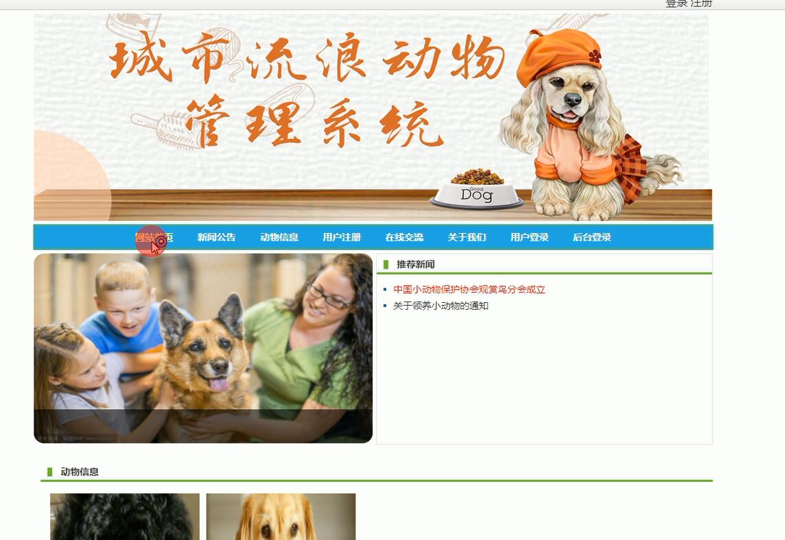 java+mysql基于jsp的流浪动物管理（java,web）#毕业设计_管理系统