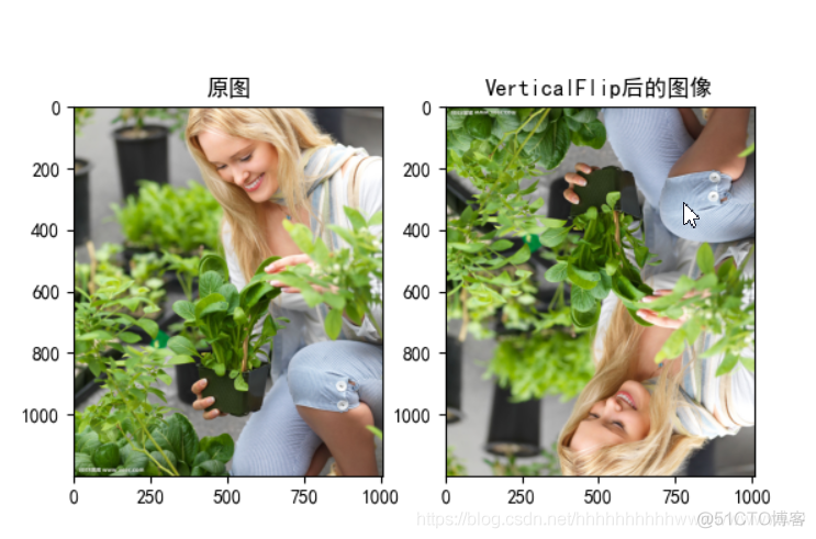 图像增强库Albumentations使用总结_机器学习_04