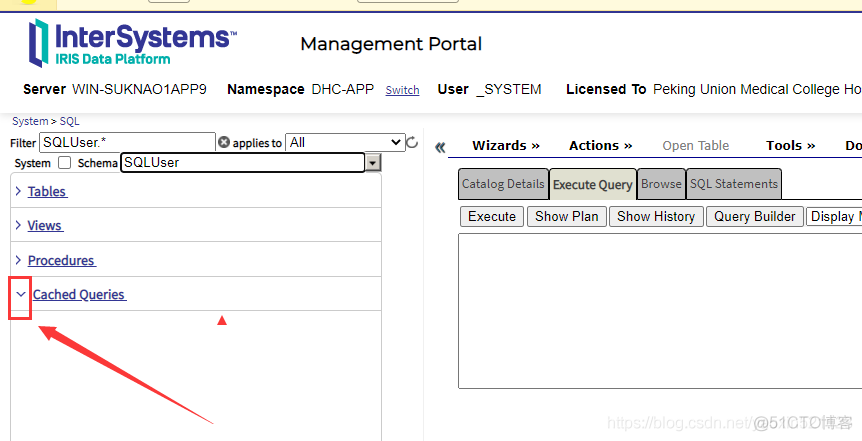 第二章 InterSystems SQL基础_基础操作_04