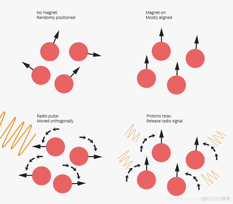 EEG vs MRI vs fMRI vs fNIRS简介_脑机接口_03