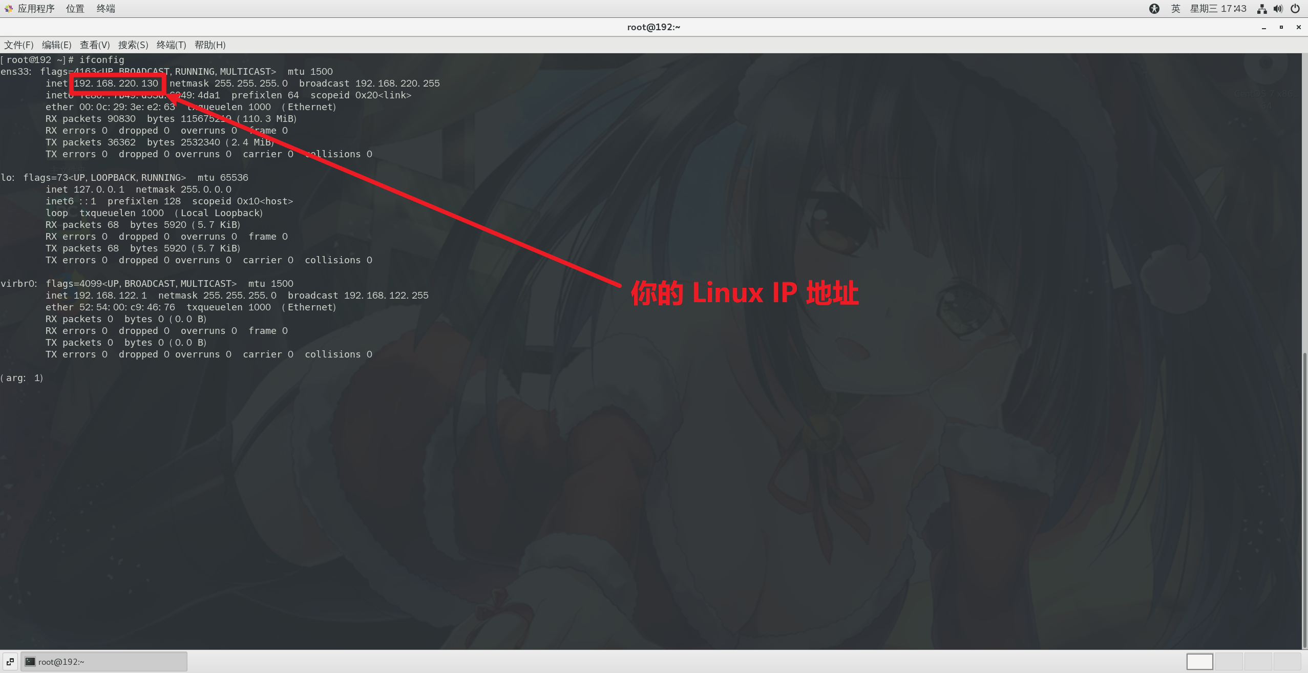 Mitmproxy 在 Linux 操作系统中的使用_linux_06