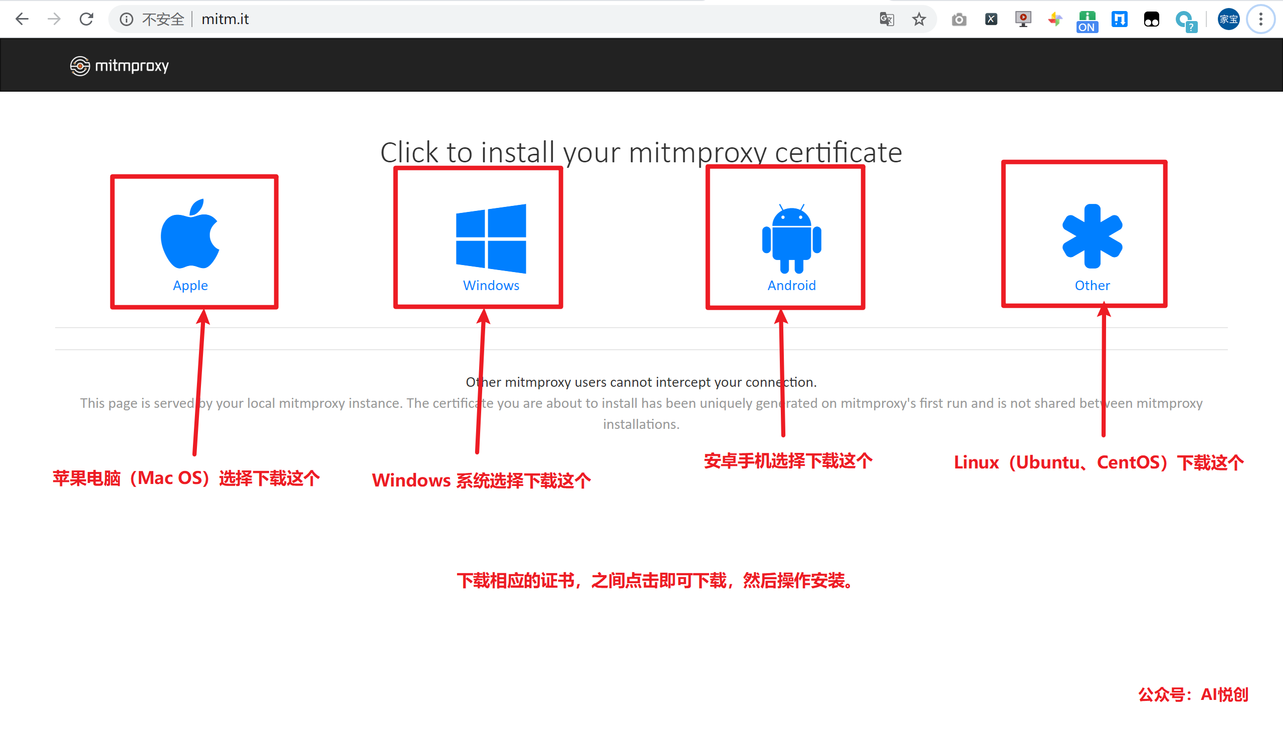 Mitmproxy 在 Linux 操作系统中的使用_python_13