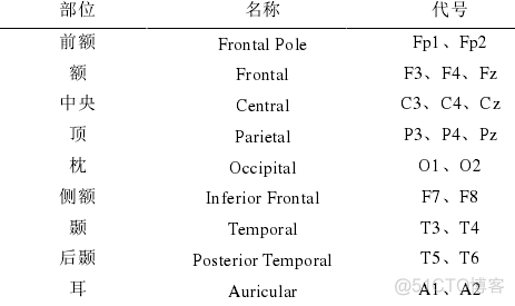 国际10-20标准电极位置_10-20导联系统_04