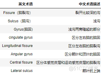 国际10-20标准电极位置_脑机接口_05