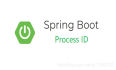 你知道如何自动保存 Spring Boot 应用进程号吗